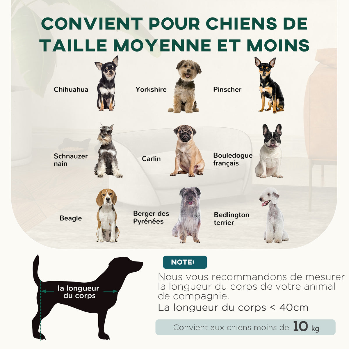Canapé pour chien en velours gris avec coussin lavable – vue 2