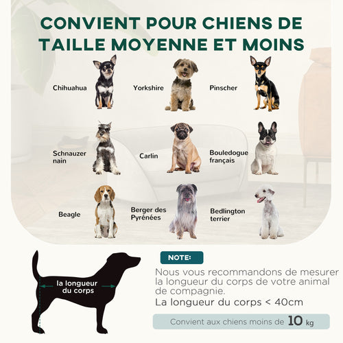 Canapé pour chien en velours gris avec coussin lavable – vue 2